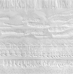 Line Transect Grey (detail-embossing & drawing)