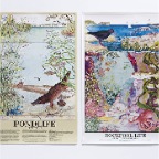 Posters-'Rockpool' &  'Pondlife'